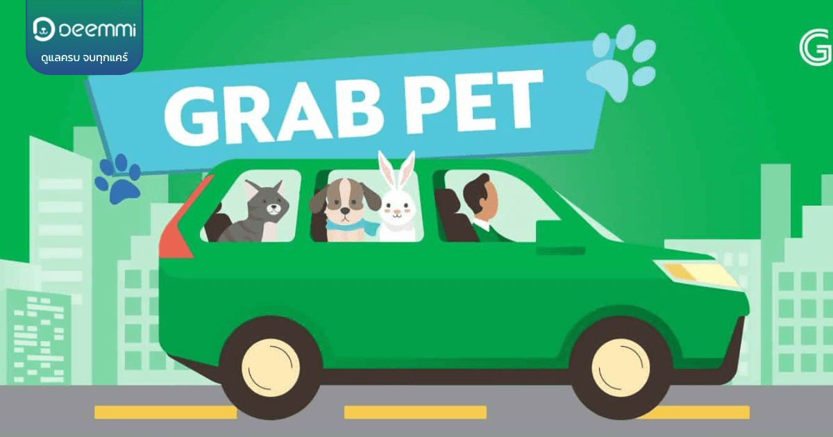 GRABPET แท๊กซี่สัตว์เลี้ยง มีในไทยแล้ว อ่านเลย