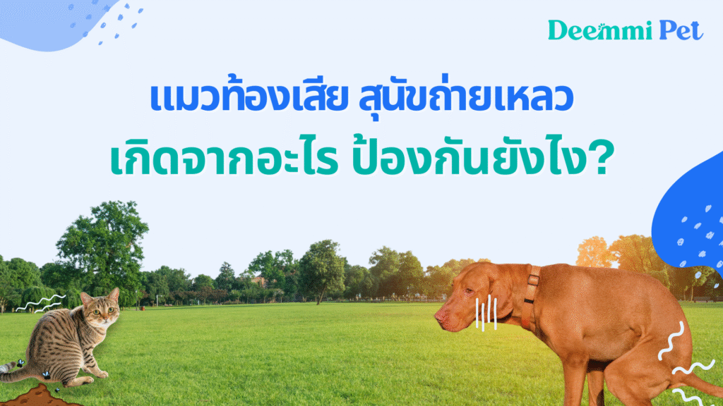 The causes of cats and dogs diarrhea
