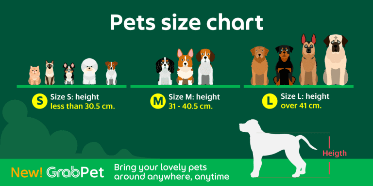 pets size chart (ขนาดสัตว์เลี้ยงที่ grabpet รับ) (1)
