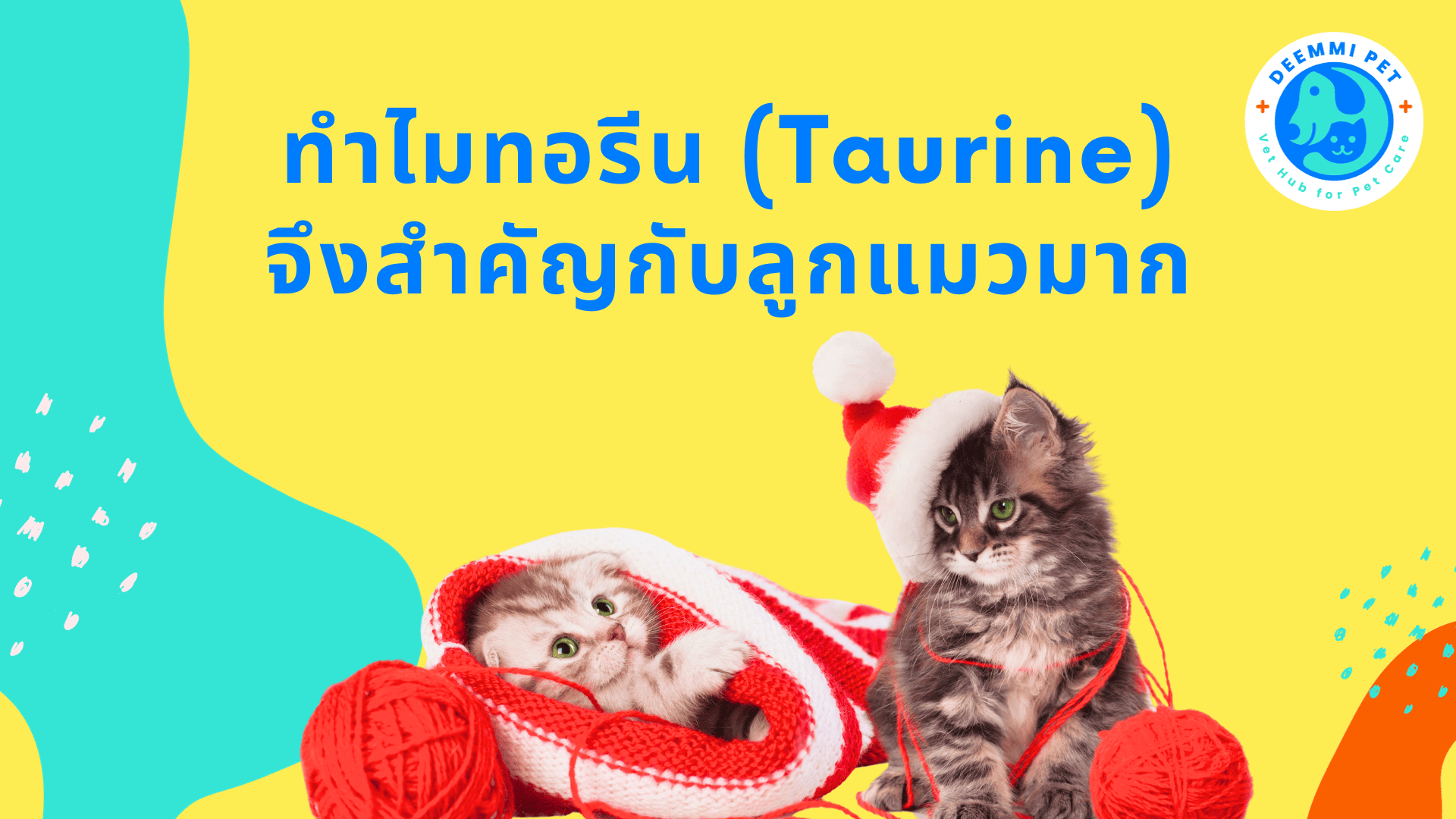 ทำไมทอรีน (Taurine) จึงสำคัญกับลูกแมวมาก