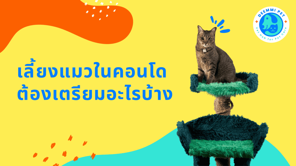 เลี้ยงแมวในคอนโด_cats-condominium-management-guide