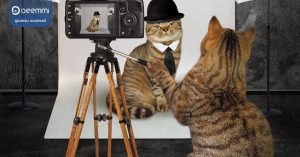 Deemmi-cats-how-to-take-photography-ideas (5 เทคนิคเรียกยอด LIKE ถ่ายรูปแมว) (1)
