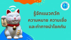 รู้จักแมวกวัก ความหมาย ความเชื่อ และท่าทางนำโชคกัน_cats-sharing-manekineko-story