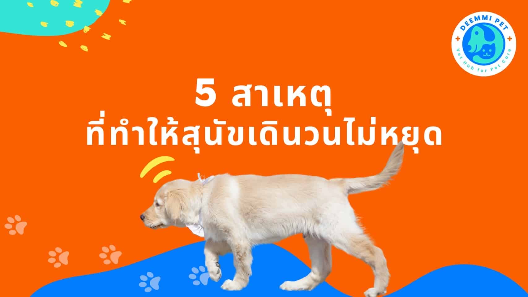 5 สาเหตุที่ทำให้สุนัขเดินวนไม่หยุด