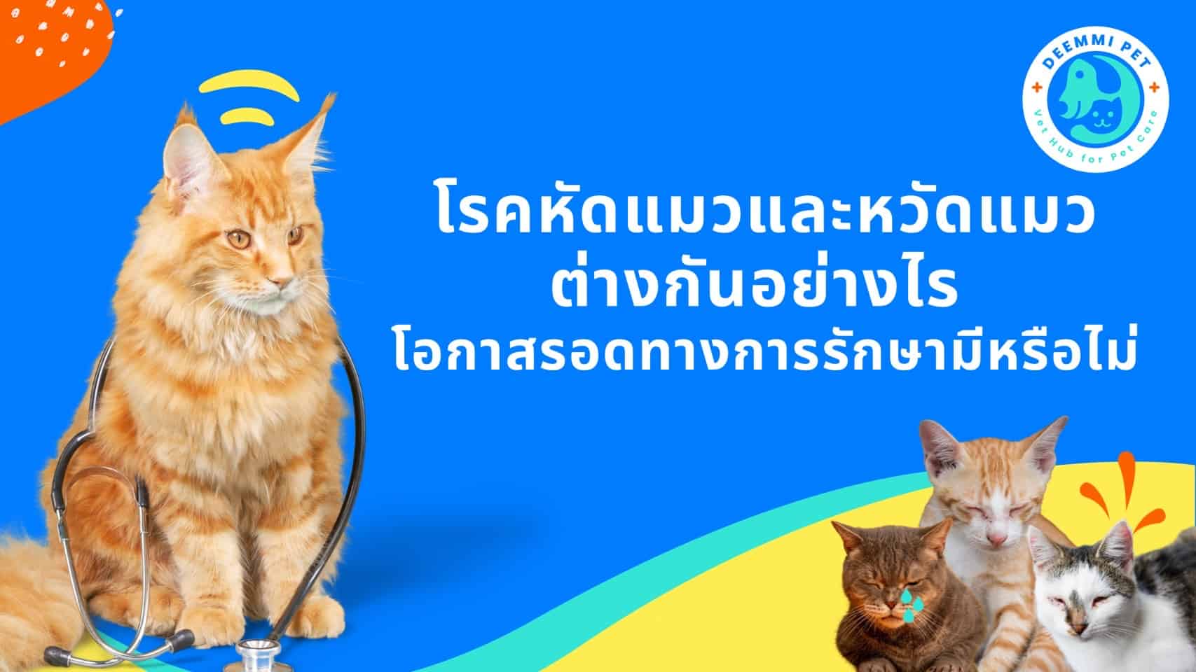 โรคหัดแมวและหวัดแมวต่างกันอย่างไร โอกาสรอดมีแค่ไหนกัน