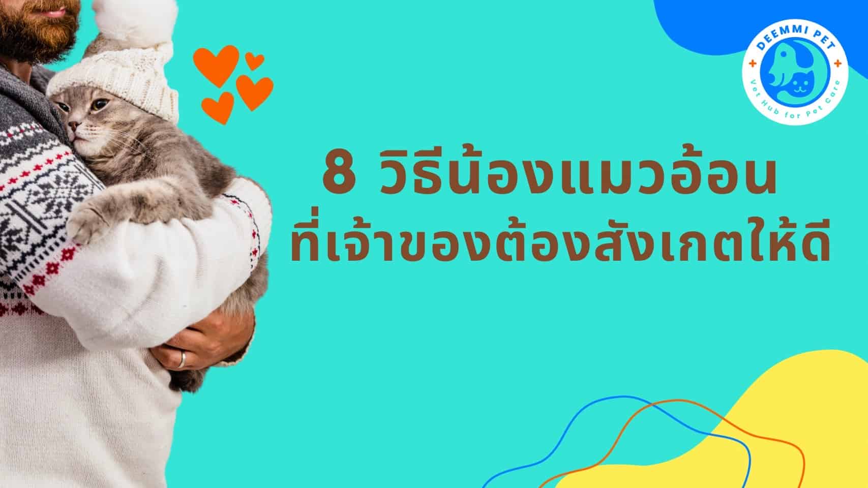 8 วิธีน้องแมวอ้อน ที่เจ้าของต้องสังเกตให้ดี