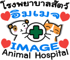 Image animal hospital logo