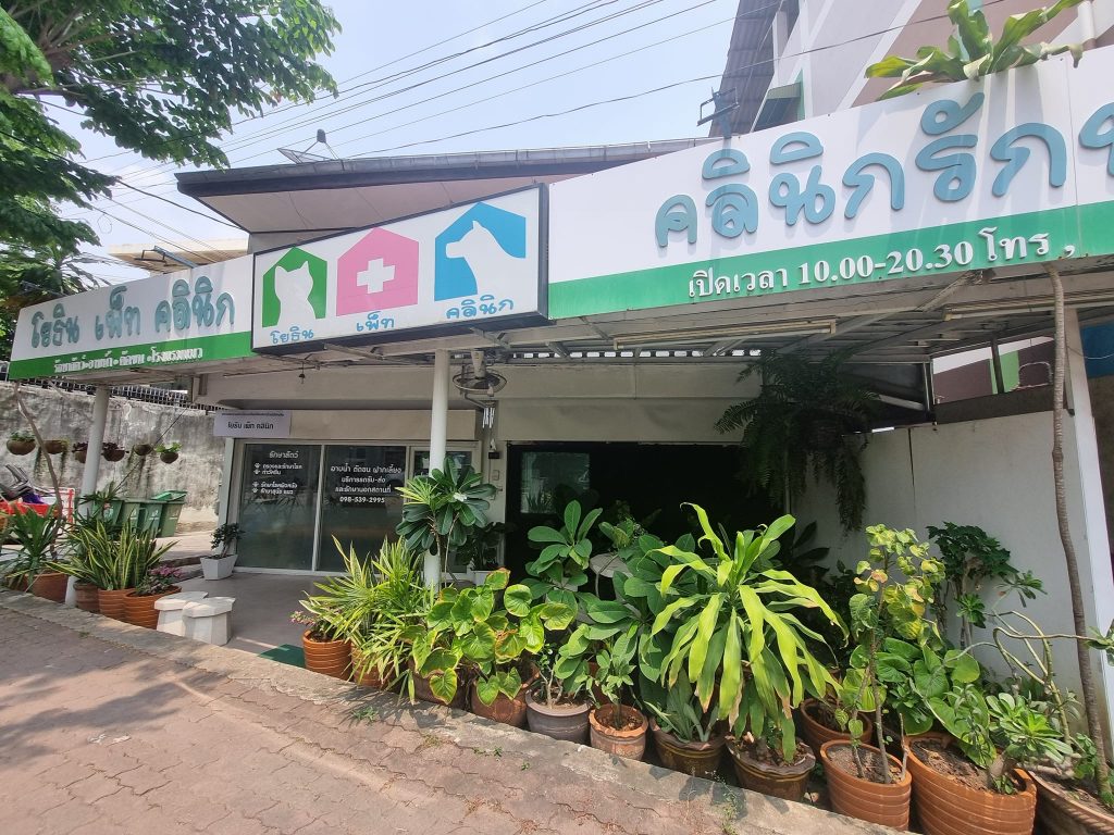 โยธิน เพ็ท คลินิก areas for pet hospitals