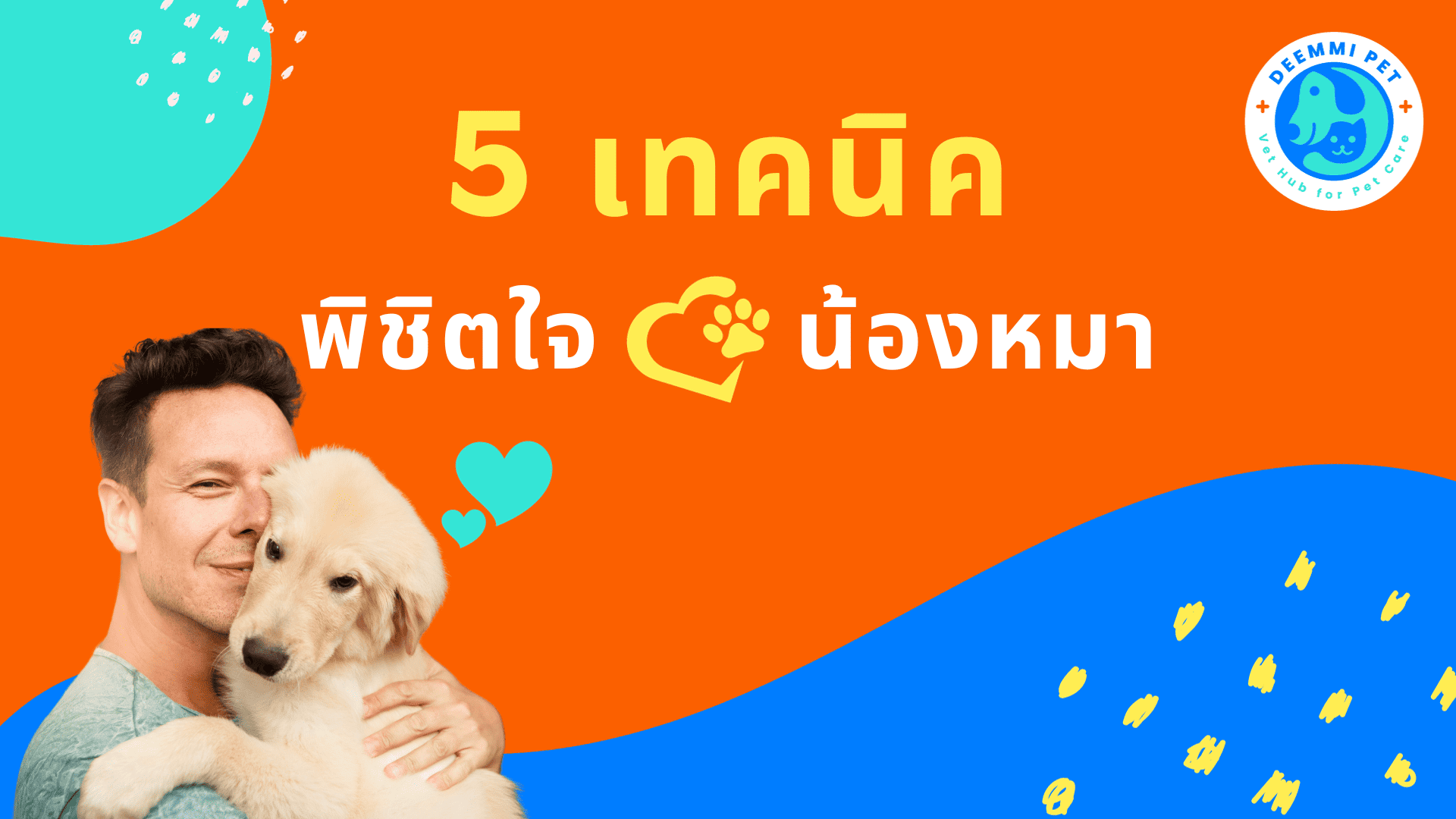 5 เทคนิคพิชิตใจน้องหมา วิธีเลี้ยงหมาให้รักให้หลง