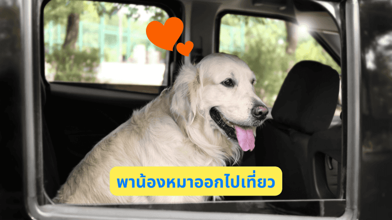 5 เทคนิคพิชิตใจน้องหมา_dogs-five-techniques-love_travel