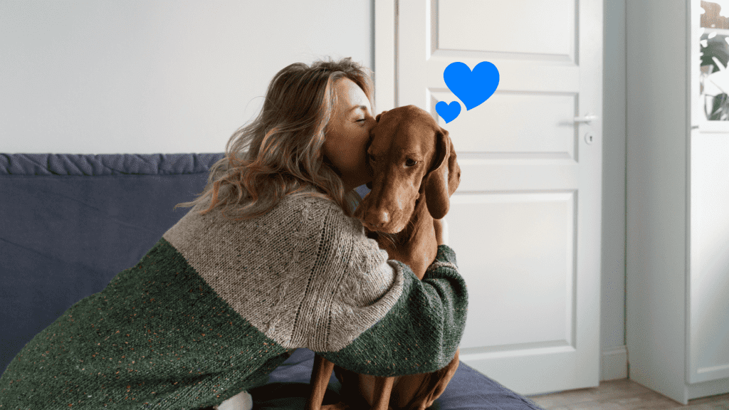 ให้ความอบอุ่นด้วยการสัมผัส -give hugs and warms to dogs