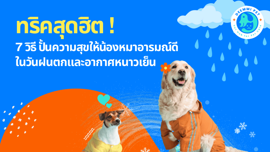 ทริคสุดฮิต! 7 วิธีปั้นความสุขให้น้องหมาอารมณ์ดีในวันฝนตกและอากาศหนาวเย็น_dogs-happy-rain