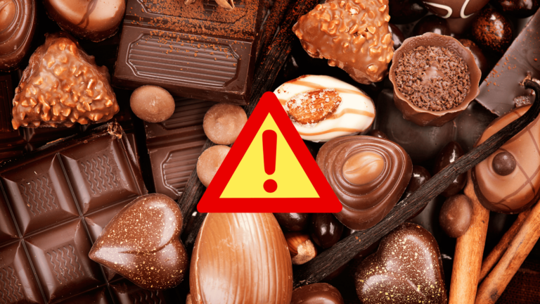 ช็อกโกแลตชนิดใดที่อันตรายที่สุด (What type of chocholate is the most dangerous)