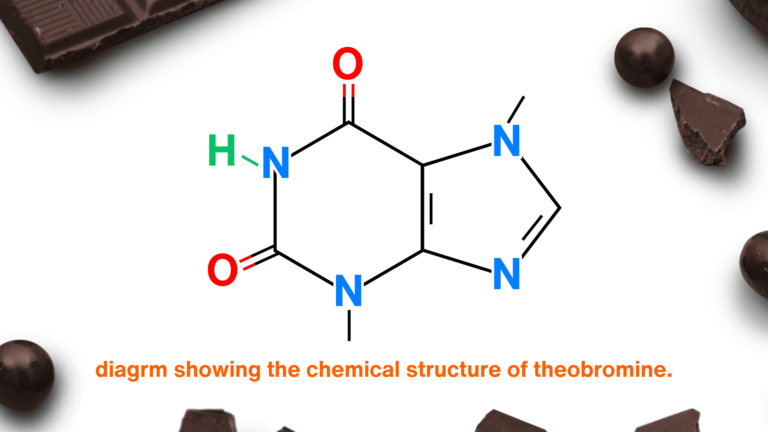 ธีโอโบรมีน (Theobromine) คืออะไร ทำไมจึงเป็นภัยเงียบในช็อกโกแลต? (Thepbromin is a toxin in Chocholate for dogs)