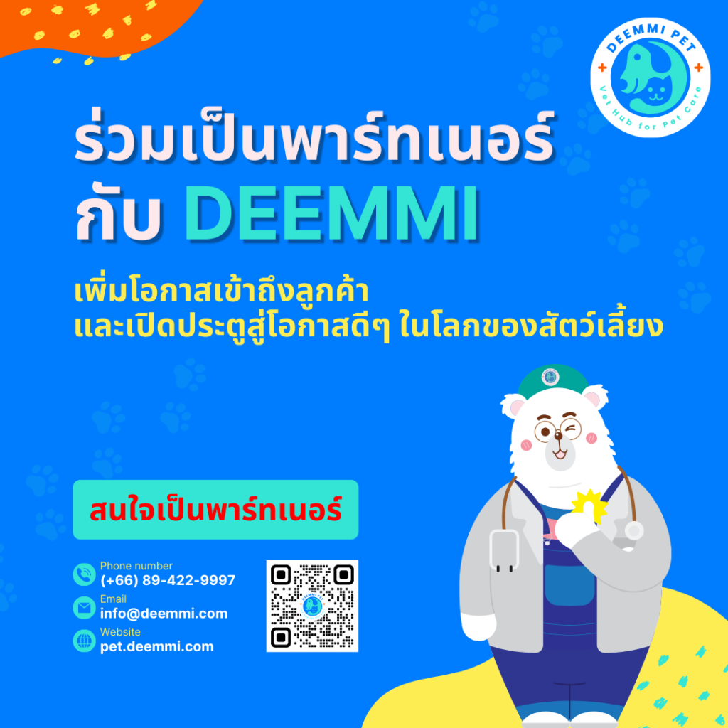 ร่วมเป็นพาร์ทเนอร์ กับ DEEMMI