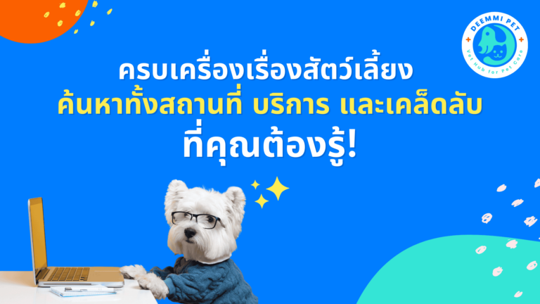 ฟังก์ชันง่าย ค้นหาไว เจอทุกอย่างเพื่อสัตว์เลี้ยงที่คุณรัก (Deemmi Pet, a pet community for more convenient)