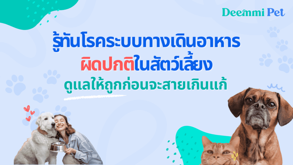 รู้ทันโรคระบบทางเดินอาหาร (Gastrointestinal in Pets)