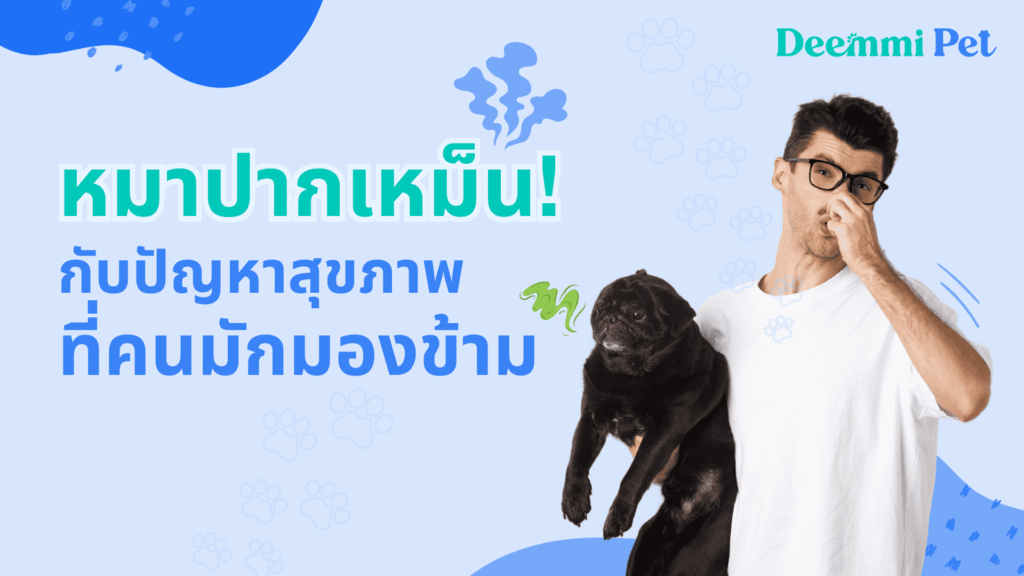 หมาปากเหม็น! (Bad -smell mouth dog)