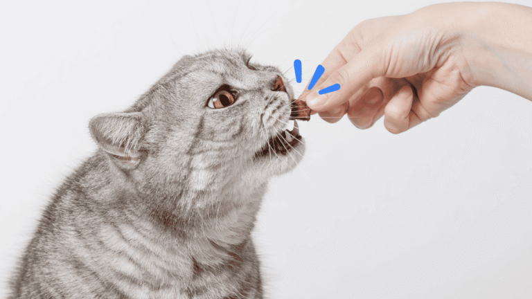 ให้ขนมขัดฟันที่ลดการเกาะตัวของหินปูน (Chewy snack can reduce mouth's problem)